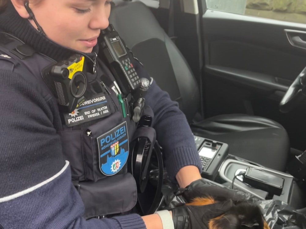 Gerettet: Eine Beamtin der Mönchengladbacher Polizei hält das in einem Altkleidercontainer „entsorgte“ Meerschweinchen in den Händen.