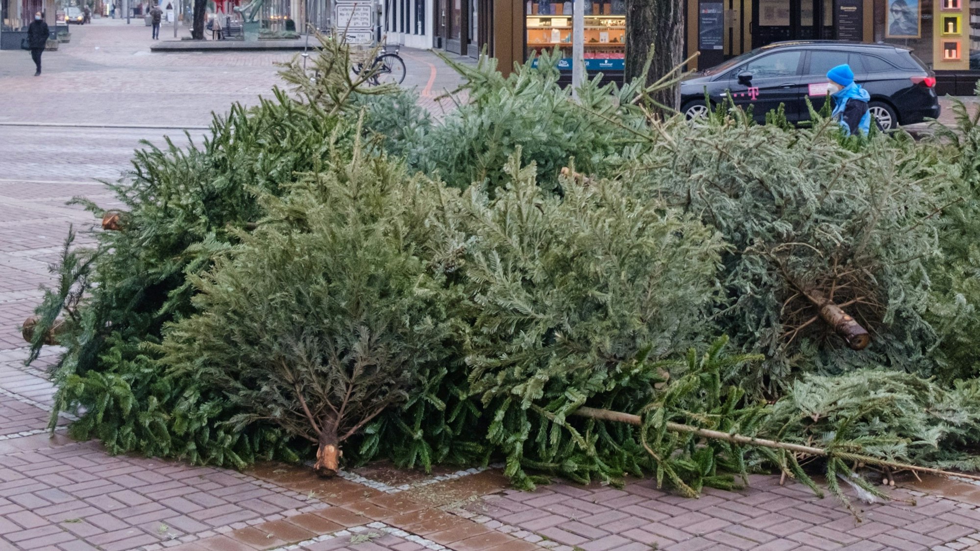 Ausgediente Weihnachtsbäume liegen auf einem Platz.