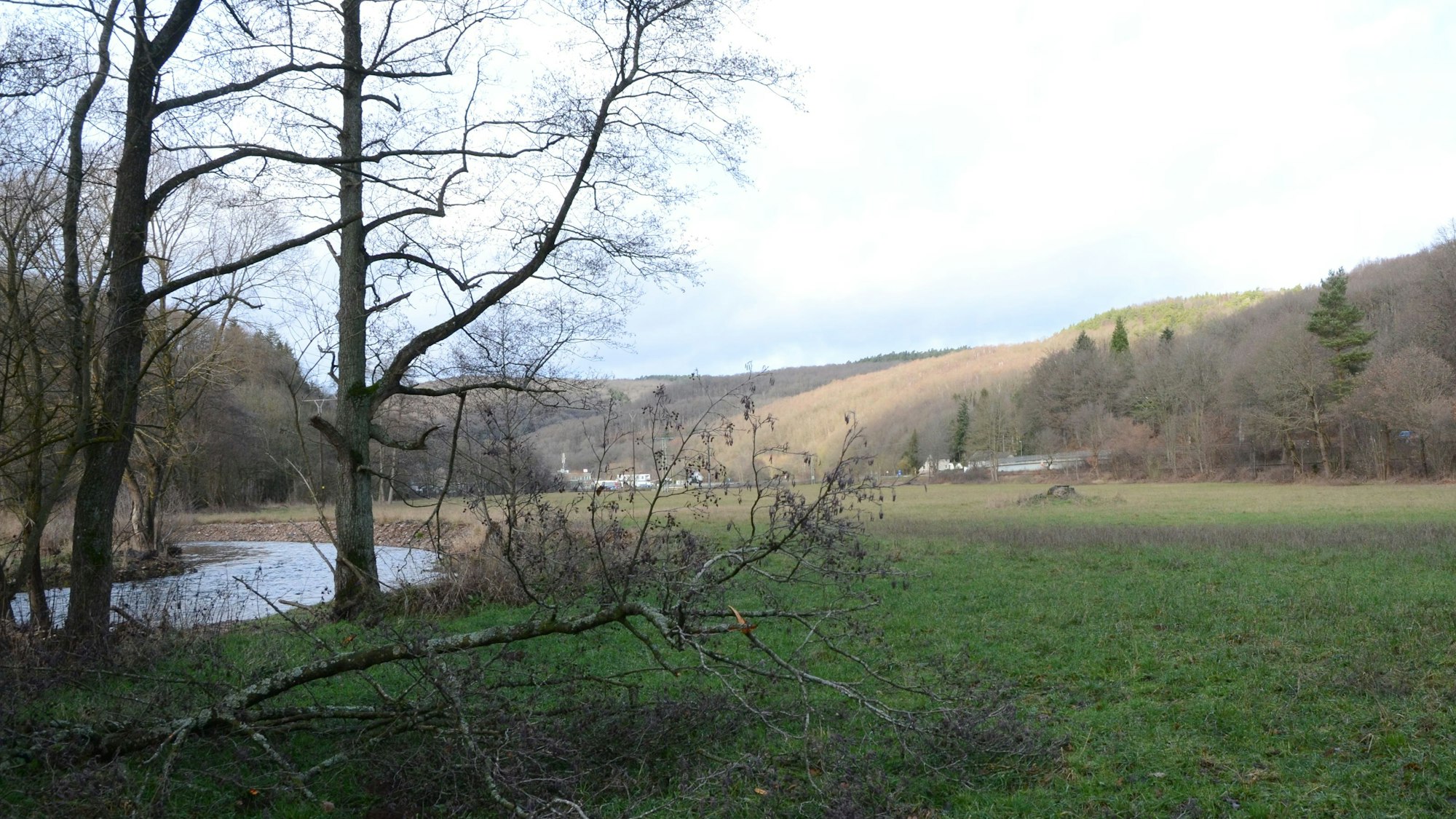 Ein Fluss schlängelt sich durchs Tal. Im Vordergrund liegt ein umgestürzter Baum.