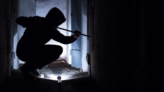 Ein Mann hebelt mit einem Brecheisen eine Tür im Keller eines Wohnhauses auf (gestellte Szene). Foto: Silas Stein/dpa +++ dpa-Bildfunk +++