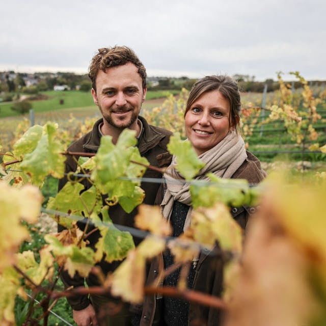 Ein junges Ehepaar steht inmitten von grünen und grün-gelben Weinreben in einem Weinberg.&nbsp;