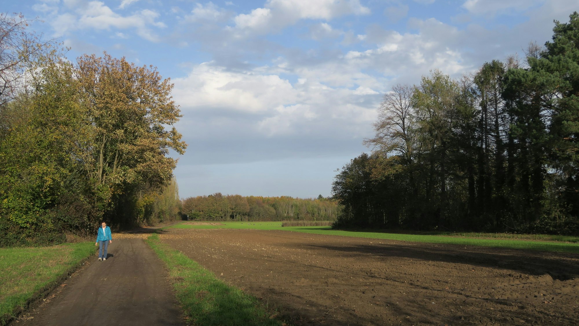 Ein Feld mit Bäumen und einer Fußgängerin.