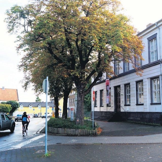 Das Haus für Kunst und Geschichte, ein weißes Gebäude an einer Straßenecke. Davor steht ein herbstlich belaubter Baum und einige Schilder.