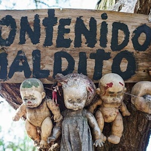 Auf der Isla de las Muñecas in Xochimilco hängen Puppen - teilweise schaurig verwittert - zu Dutzenden in den Bäumen.