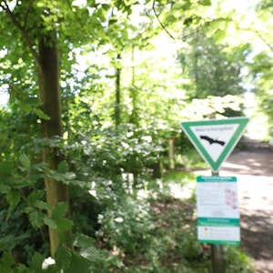 Wanderweg-Schilder an einem Baumstamm im Wald