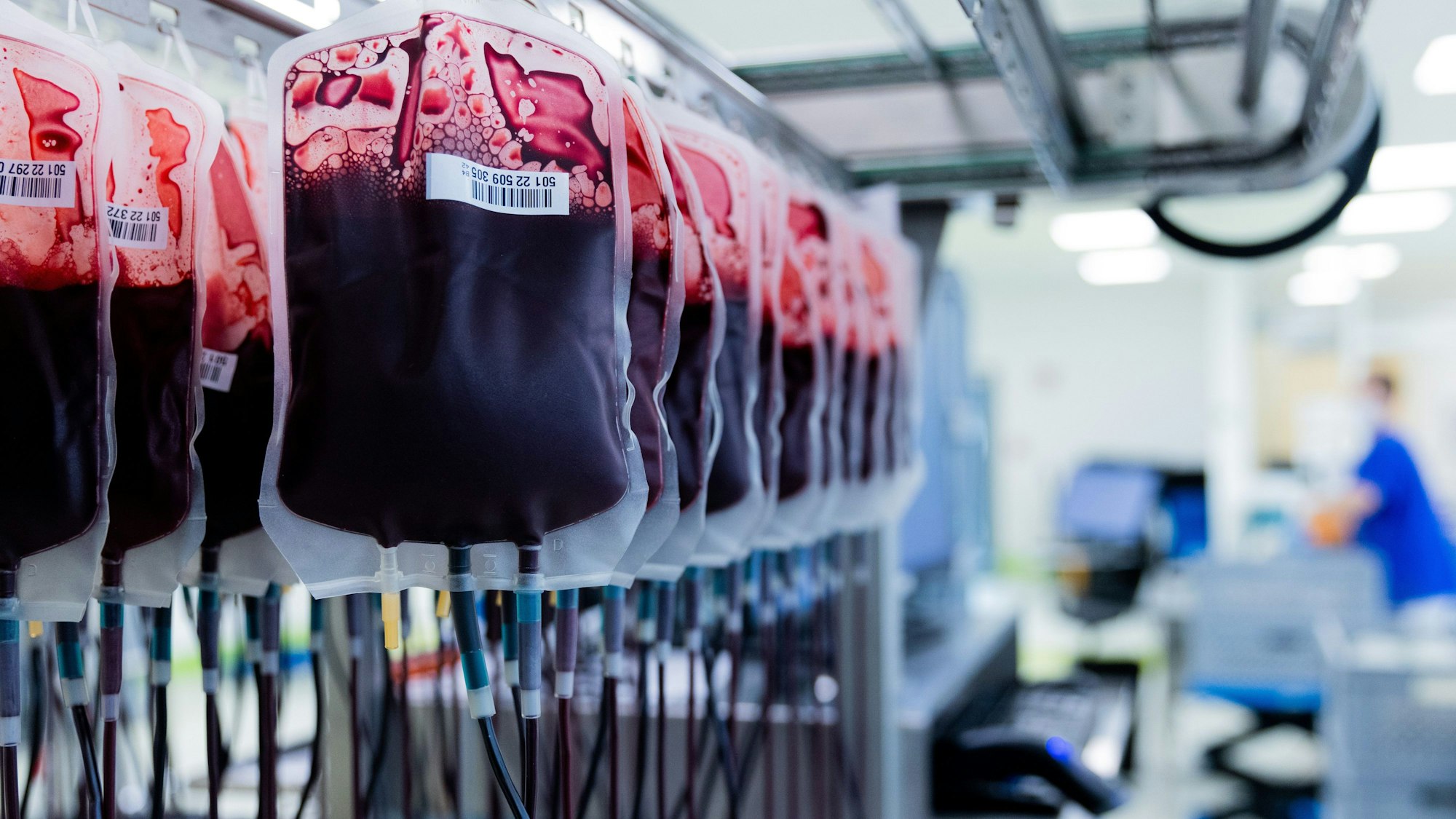 Blutkonserven im Zentrallabor des DRK-Blutspendedienstes für Krankenhäuser in Hagen