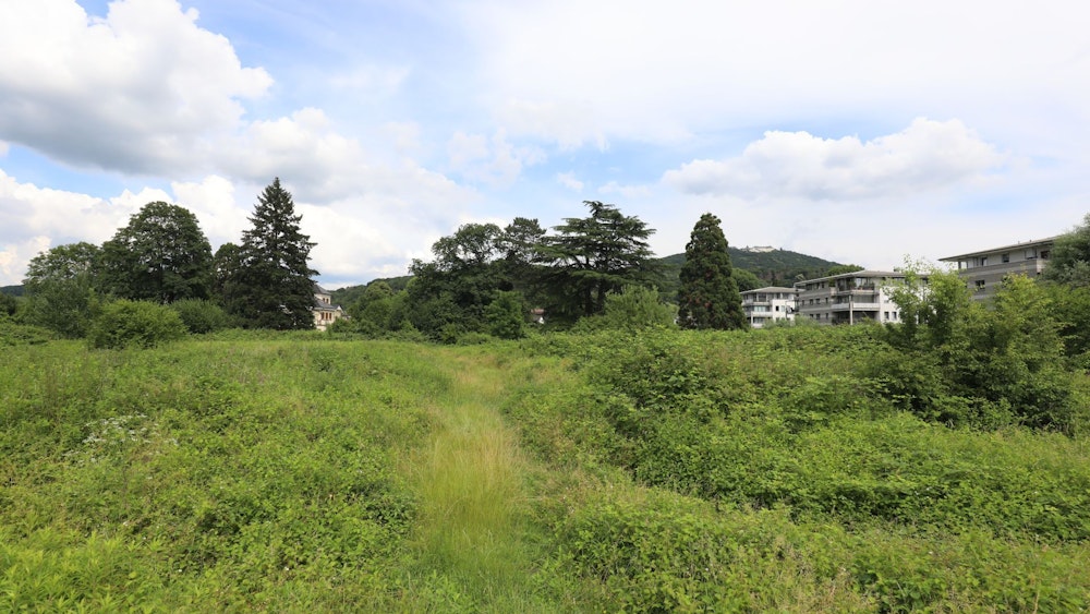 Auf dem Sumpfwegareal in Niederdollendorf, hier im Juni 2021, war ein großes Wohnbauprojekt geplant.