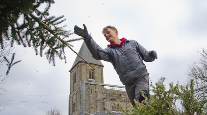 Wipperfeld, ehemaliger Lindenhof, Freiwilliger wirft Weihnachtsbaum in Schredderer.