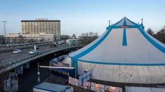 Das blau-weiße Zirkuszelt steht auf dem Messeparkplatz direkt an der Zoobrücke.