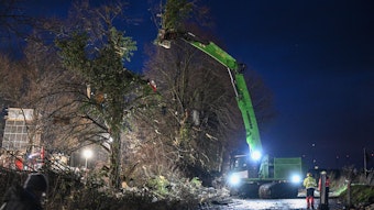 Ein Baum, in dem früher ein Holzhaus war, wird am zweiten Tag der Räumung im von Klimaaktivisten besetzten Braunkohleort Lützerath, zersägt.