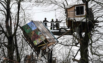 Die Polizei hat ein von Aktivisten errichtetes Baumhaus abstürzen lassen.
