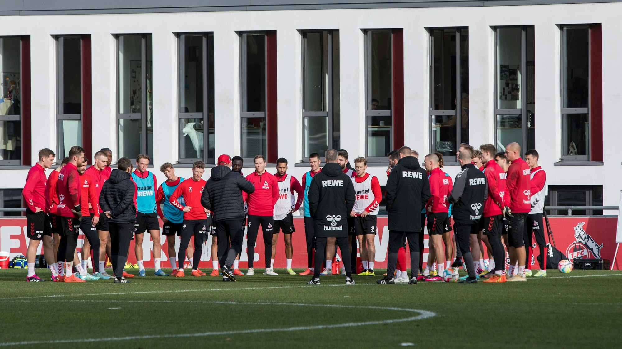 Die Mannschaft des 1. FC Köln steht im Training im Kreis.