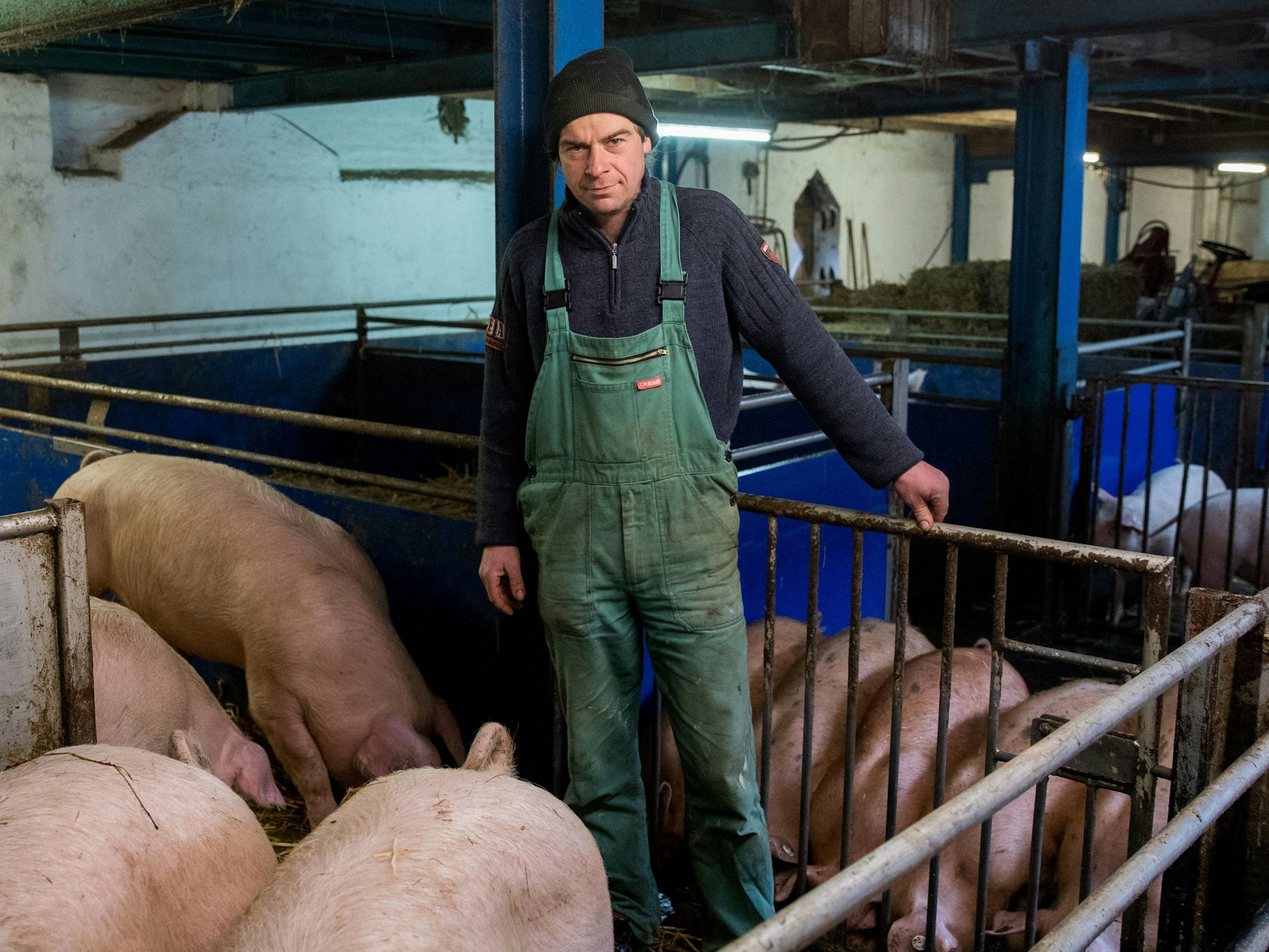 Landwirt Martin Kleinschmidt steht in einem Stall mit Schweinen.