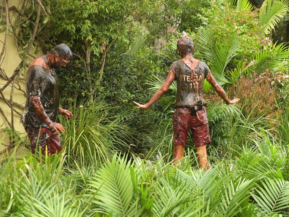 Jour 3 : Épreuve dans la jungle "Shitstorm - La dernière chasse d'eau".  Tessa Bergmeier et Cosimo Citiolo sont autorisés à retourner au camp après le troisième test dans la jungle avec deux étoiles.  L'utilisation du matériel lié au programme n'est autorisée qu'en référence et en lien avec RTL+.