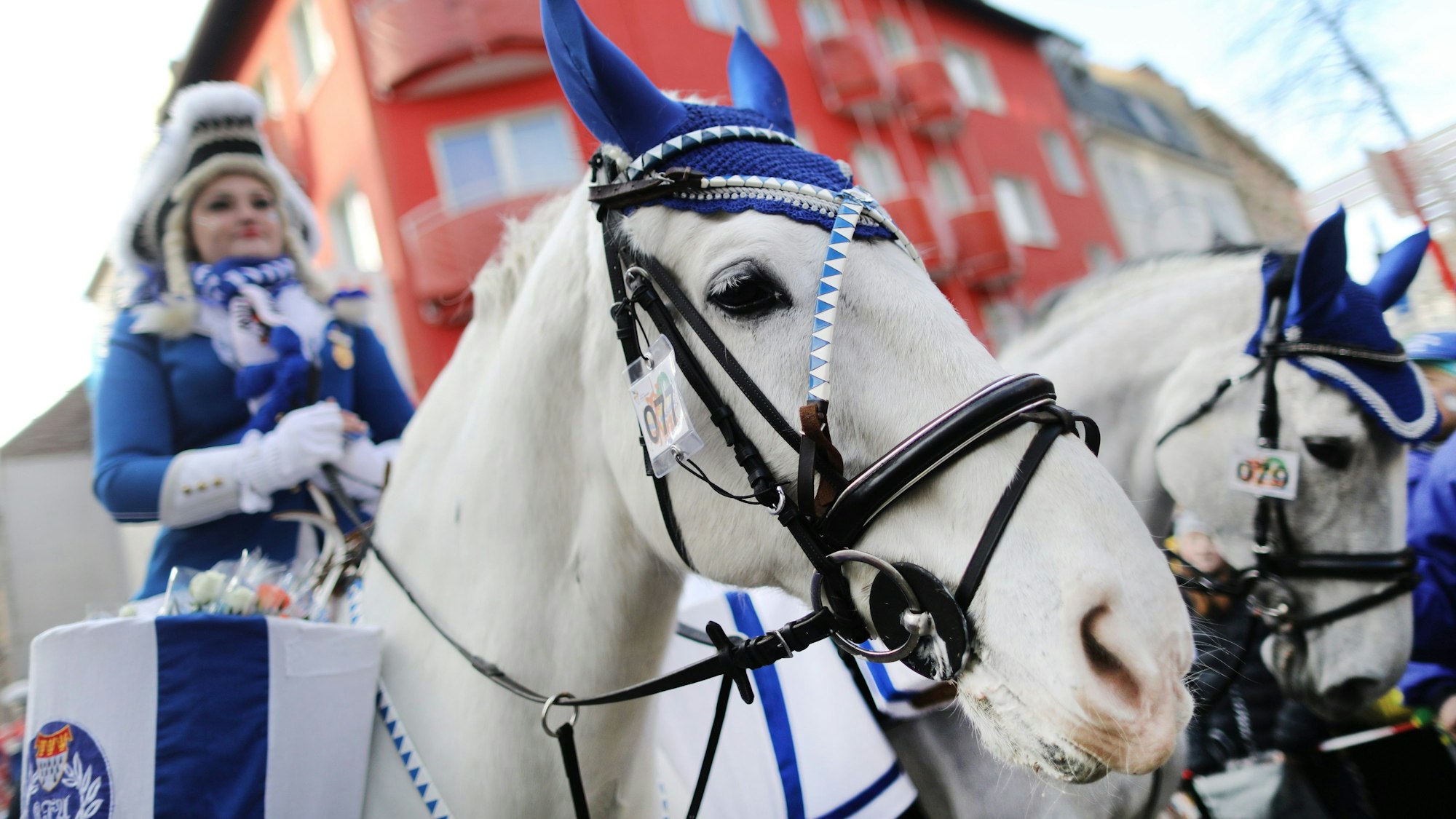 Eine Karnevalistin auf einem Pferd nimmt am Kölner Rosenmontagszug teil.
