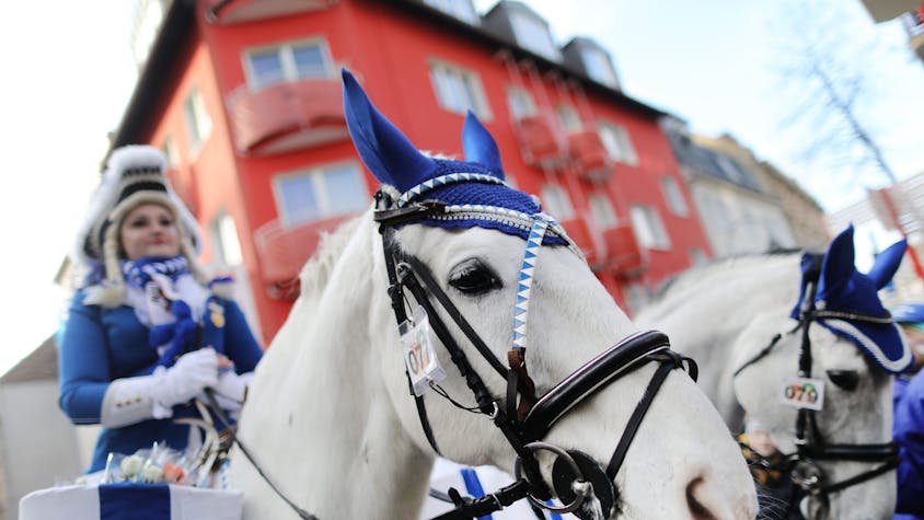 Eine Karnevalistin auf einem Pferd nimmt am Kölner Rosenmontagszug teil.&nbsp;