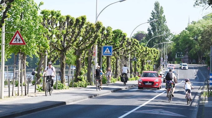 Autos und Radfahrer fahren am Rheinufer in Bonn entlang.