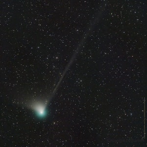 Ein Bild der Nasa aus dem Weltraum zeigt den Kometen, der einen grünen Schweif hinter sich herzieht, vor dem Sternenhimmel.