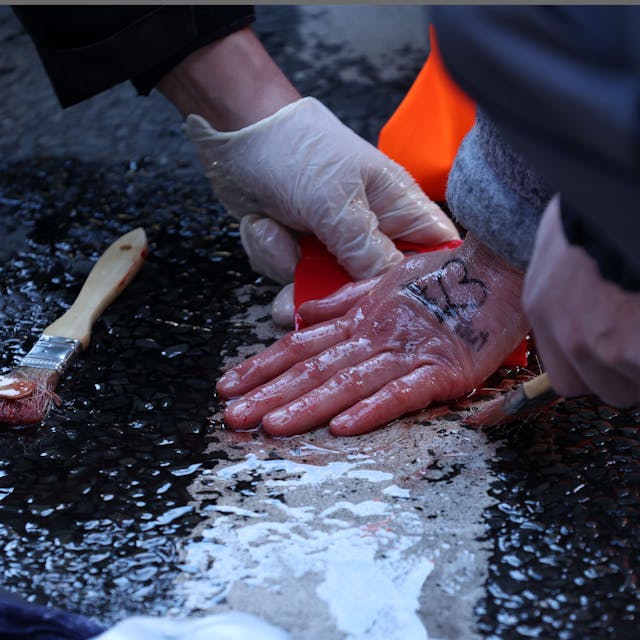 Die angeklebten Hände einer Demonstrantin werden mit Speiseöl vom Asphalt gelöst.
