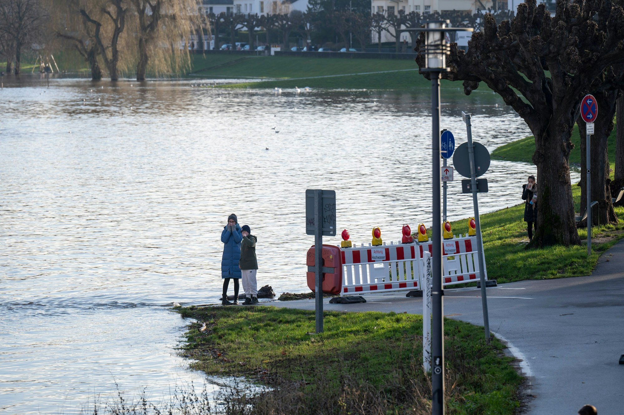 Rheinhochwasser in Rodenkirchen: Die Wege am Rheinufer sind aktuell gesperrt.