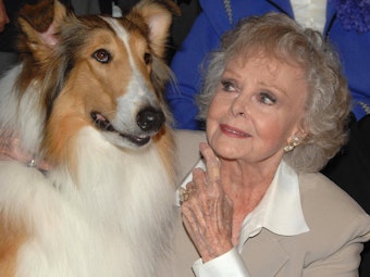 Schauspielerin June Lockhart mit Lassie.