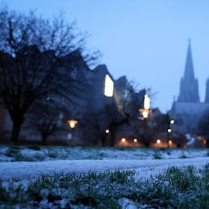 19. Januar: Schnee liegt auf einer Wiese in Köln. Während in der Millionenstadt am Donnerstag nur wenige Zentimeter Schnee fielen, gab es deuttlch mehr Neuschnee in anderen Regionen.
