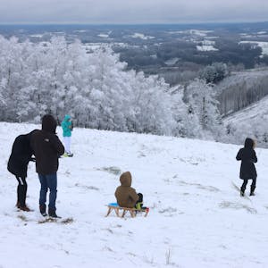 Auf einem verschneiten Hang fahren mehrere Kinder mit ihren Schlitten.