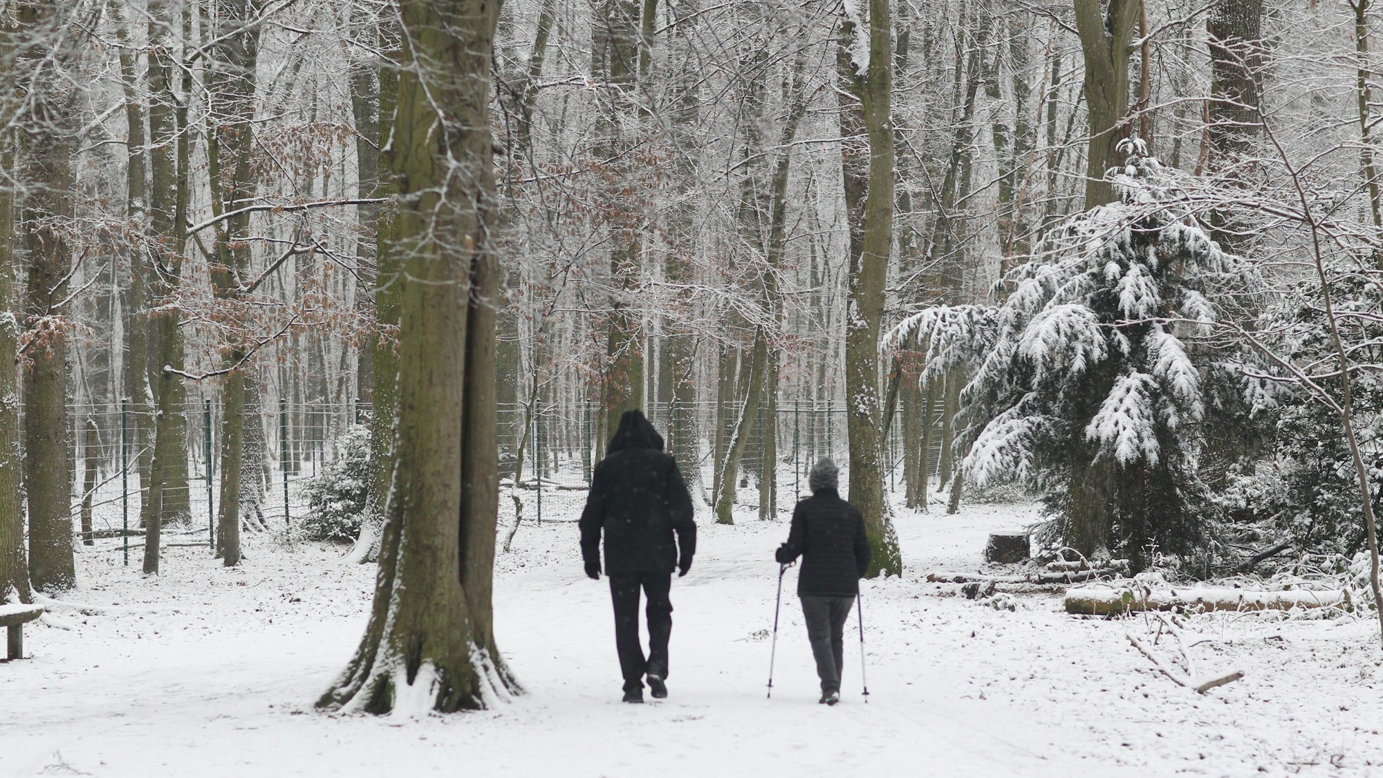 Zwei Spaziergänger laufen durch den Schnee.