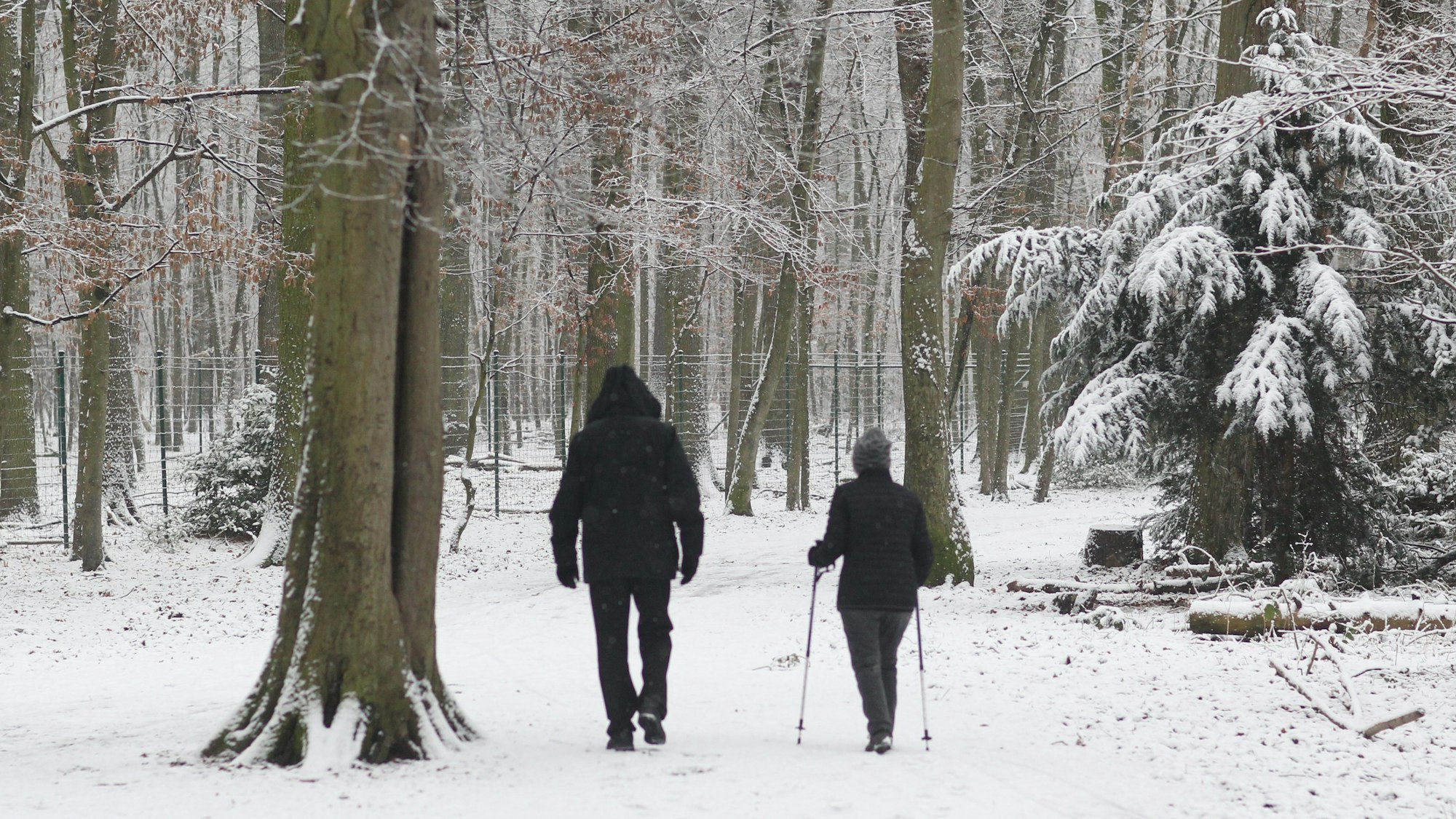 Spaziergänger im verschneiten Hirschpark, Troisdorf