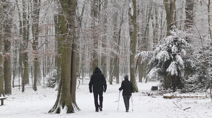 Zwei Spaziergänger in einem schneebedeckten Wald.