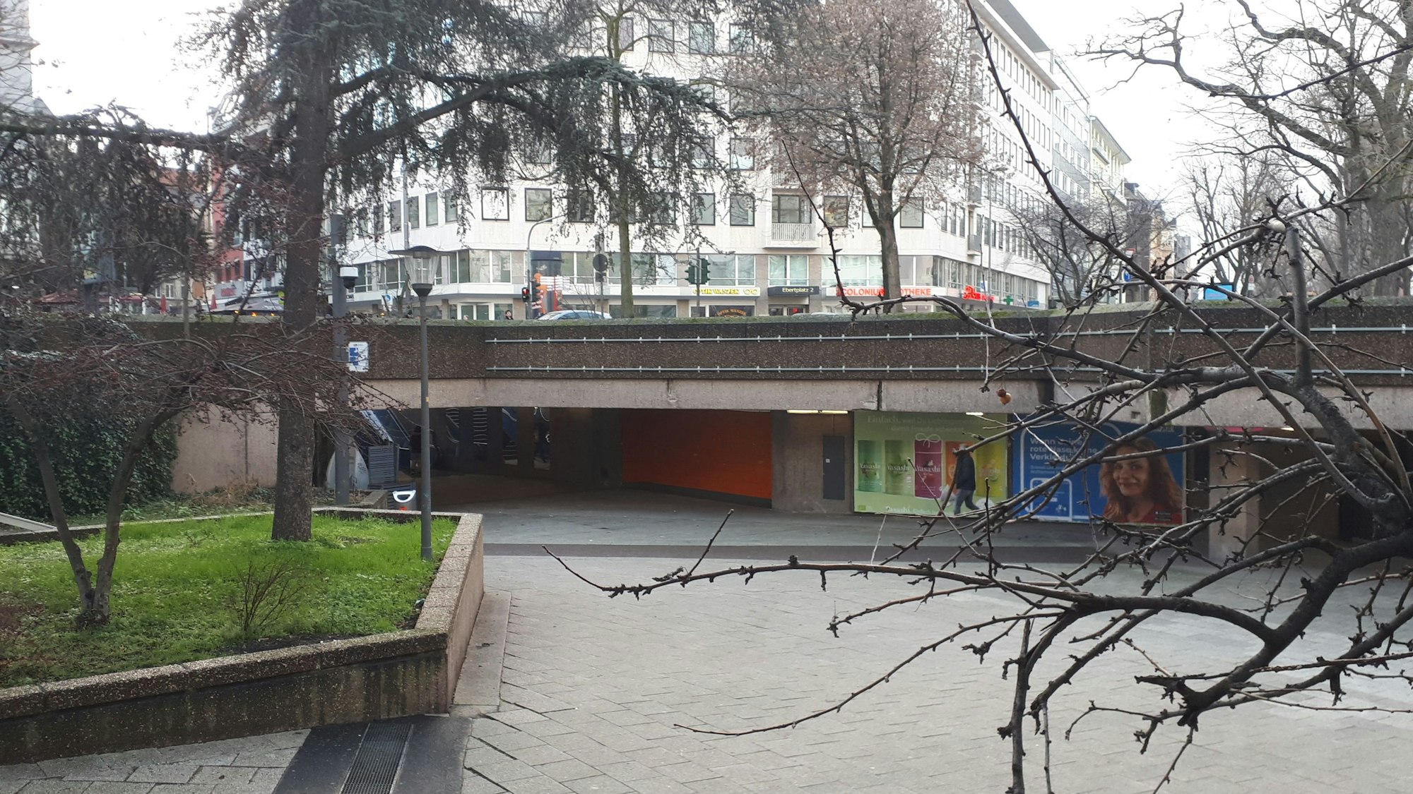 Ein Teil des Ebertplatzes mit grauer Betonfläche und einem Baumbeet sind zu sehen, im Hintergrund die Straße und eine Häuserzeile.