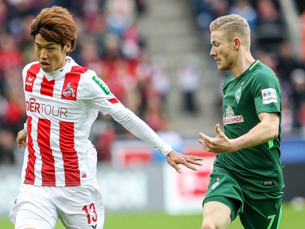 Yuya Osako und Florian Kainz beim Bundesliga-Duell zwischen dem 1. FC Köln und Werder Bremen im Kampf um den Ball.
