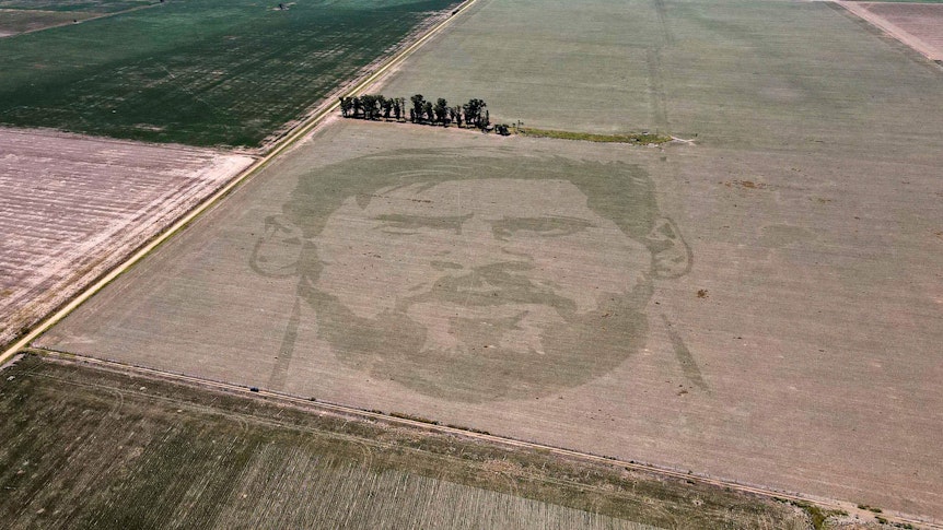 Luftaufnahme eines aus Maispflanzen entstandenen Porträts von Lionel Messi auf einem Acker in Argentinien.