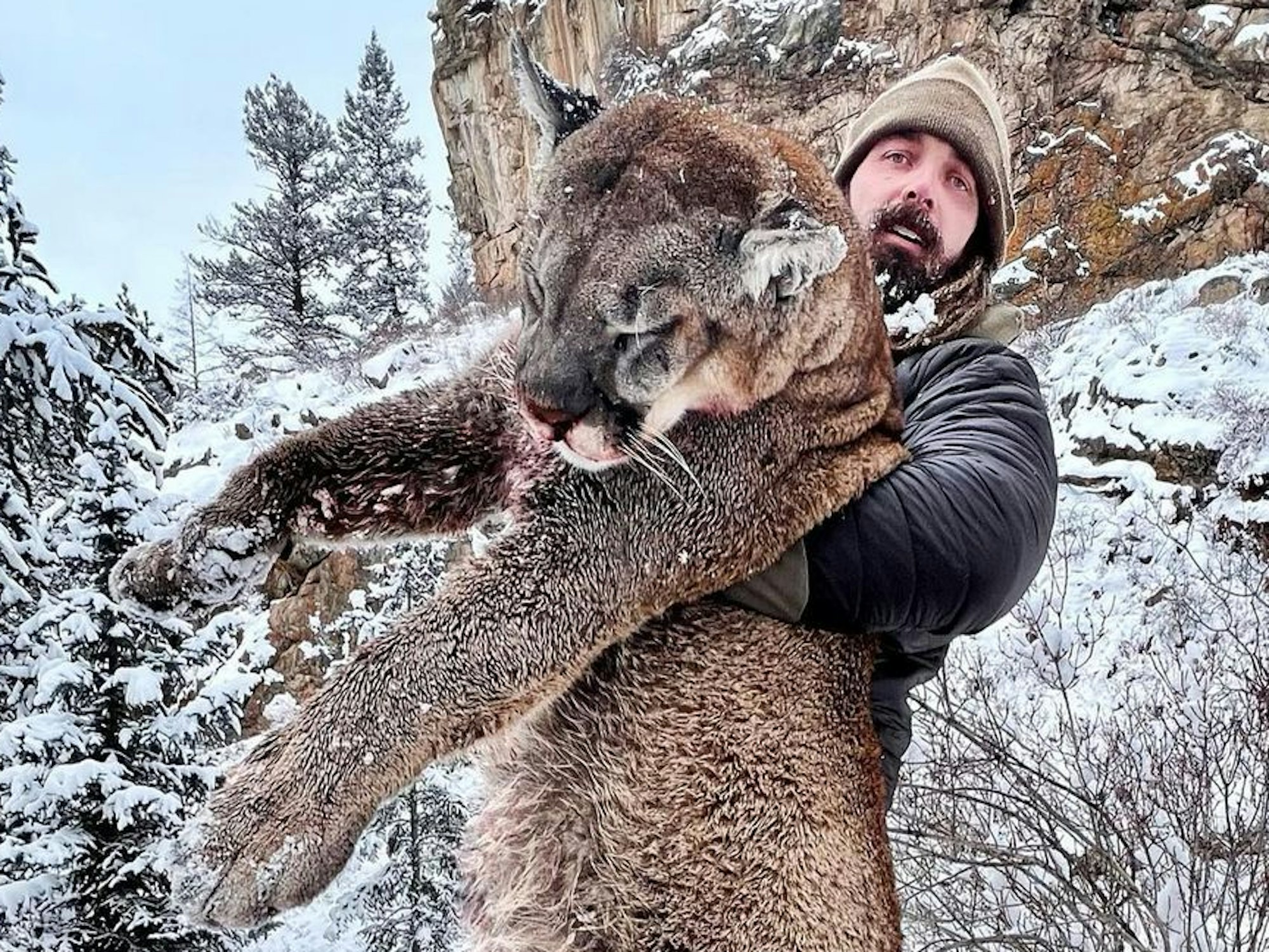 Derek Wolfe postete dieses Foto von sich und einem Puma im Arm am 20. Februar 2023 auf seinem Instagram-Kanal @derekwolfe_95