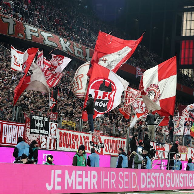In der Südkurve des Rhein-Energie-Stadions sind mehrere Fahnen des 1. FC Köln zu sehen. Die Anhänger des Bundesligisten unterstützen ihren Verein im Rahmen eines Spiels unter Flutlicht.