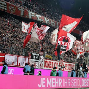 In der Südkurve des Rhein-Energie-Stadions sind mehrere Fahnen des 1. FC Köln zu sehen. Die Anhänger des Bundesligisten unterstützen ihren Verein im Rahmen eines Spiels unter Flutlicht.
