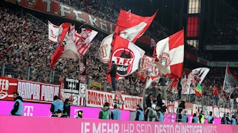 Fans und Fahnen in der Kölner Südkurve.








