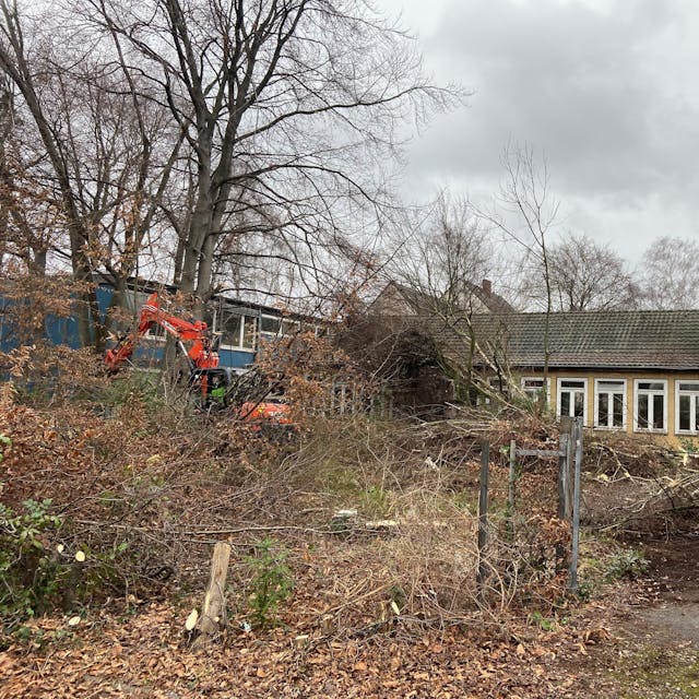 Das Grundstück der Grundschule an der Kupfergasse mit einem Bagger und den gefällten Bäumen.
