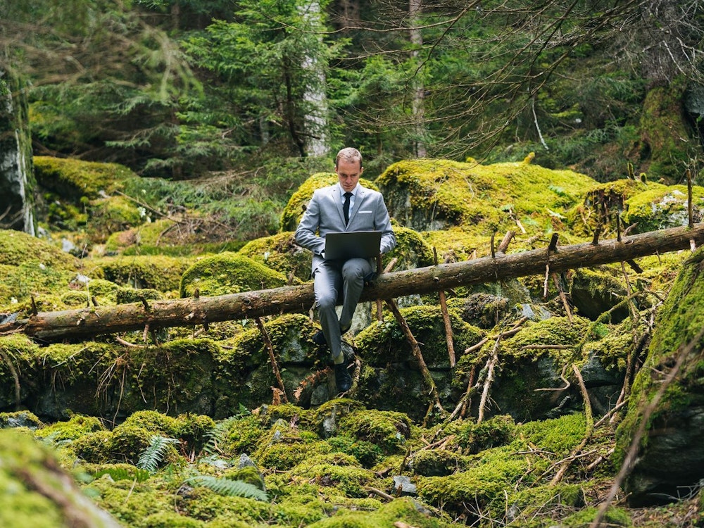 Ein Mann im Anzug sitzt mit einem Laptop auf einem umgestürzten Baumstamm im Wald.