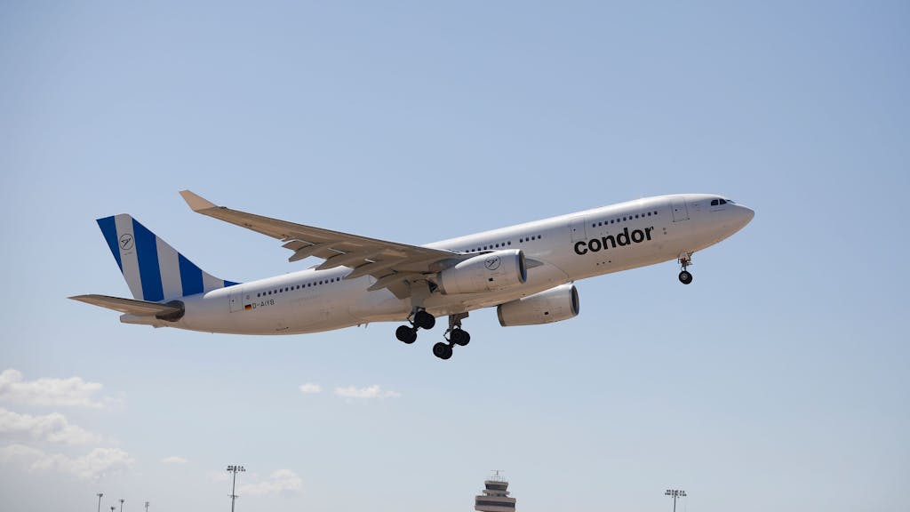 Ein Flugzeug der Fluggesellschaft Condor hebt im Juli 2022 in Palma de Mallorca am Flughafen ab.