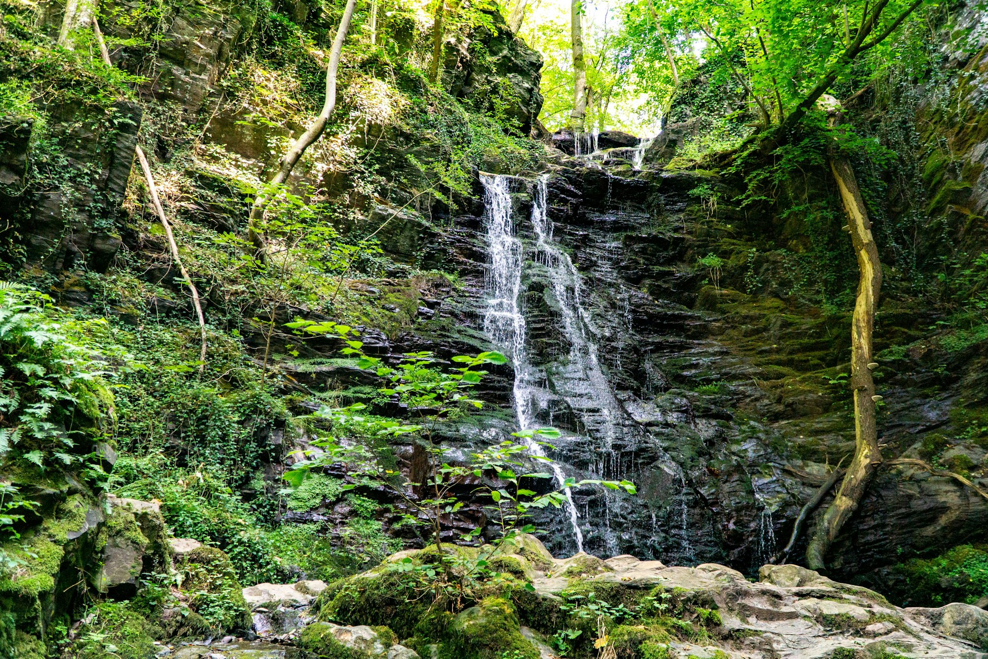 Klidinger Wasserfall in der Eifel.