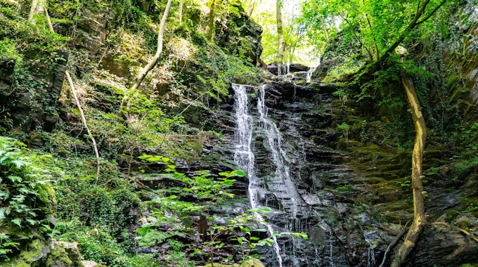 Eifel Klidinger Wasserfall, Wahl schönster Wanderweg Deutschlands