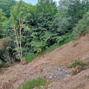 Diesen Weg am Aulbachtal bei Neuhof hat die Flut schwer beschädigt.