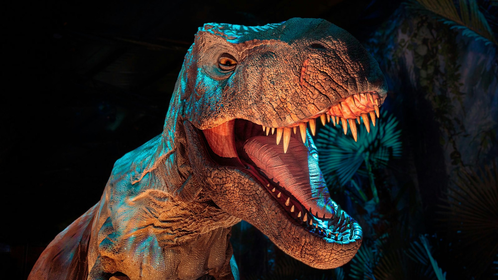 Mit „Jurassic World: The Exhibition“ startet im März eine neue Ausstellung im Kölner Odysseum