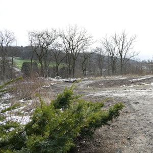 Das Gelände der ehemaligen Jugendherberge Kürten ist gerodet worden.