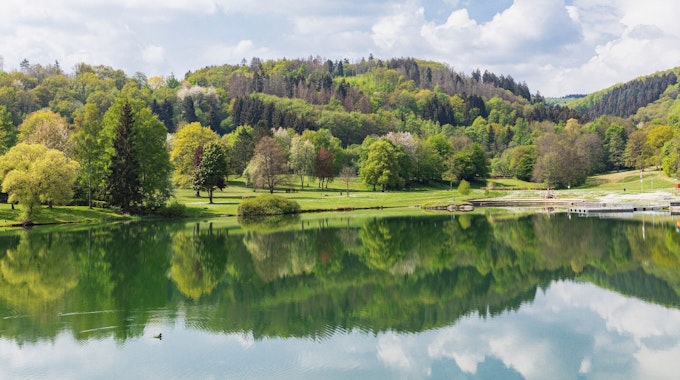 Der Eiserbachsee in Simmerath ist nur eines von vielen, wunderschönen Ausflugszielen im Nationalpark Eifel.