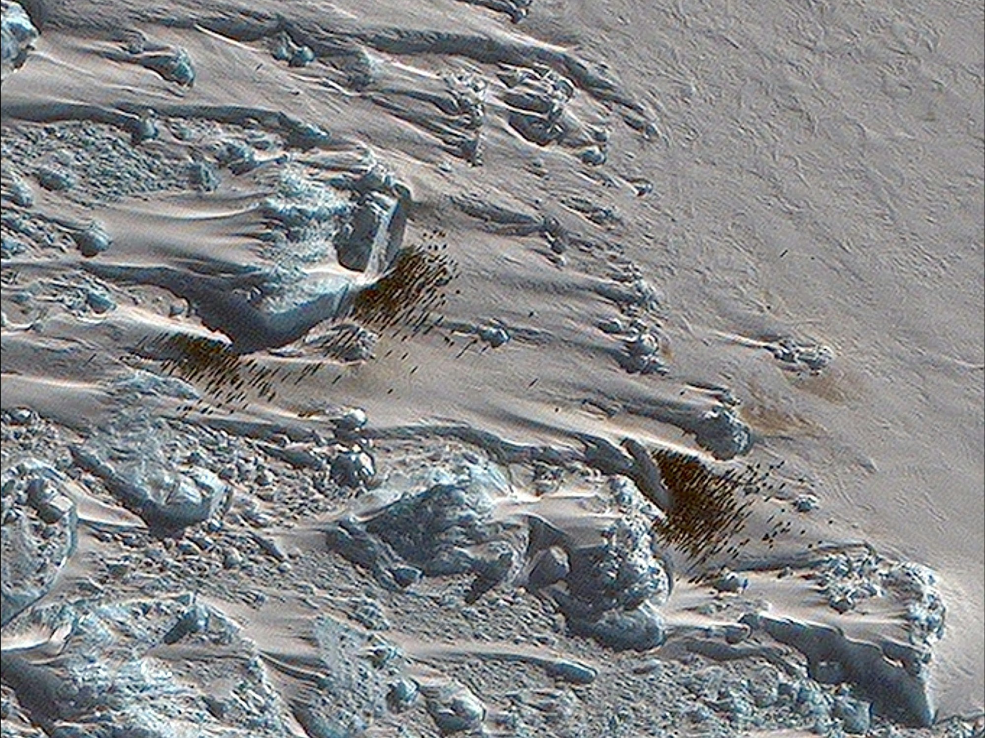 Das undatierte Foto des British Antarctic Survey (BAS) zeigt die neue entdeckte Kolonie von Kaiserpinguinen in der Antarktis. Die Forschenden kamen ihr dank verräterischer brauner Flecken auf die Spur.