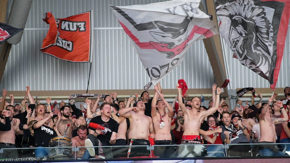 Fans feiern den Sieg der Kölner Haie im DEL-Spiel bei Adler Mannheim.