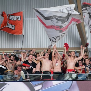 Fans feiern den Sieg der Kölner Haie im DEL-Spiel bei Adler Mannheim.