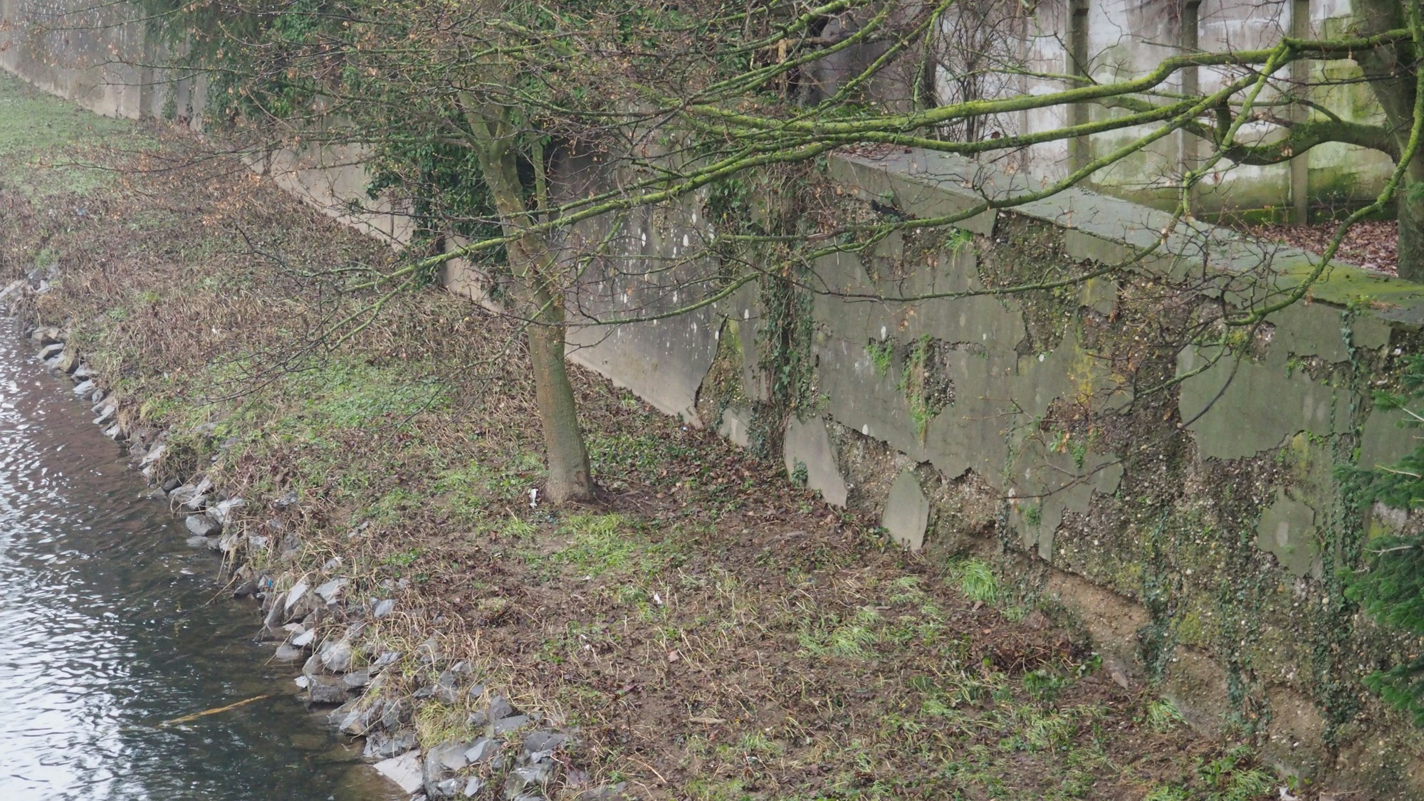 Abbröckelnde Mauer mit grünem Bewuchs am Flussufer.